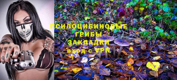 гидропоника Аркадак