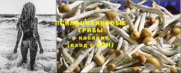 гидропоника Аркадак